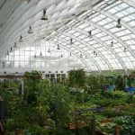 greenhouse01lg